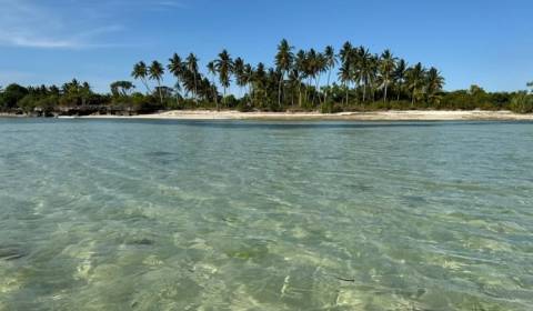 57000 m2 szelídítetlen luxus: Zanzibár tengerparti fejlesztési terület