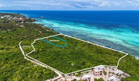 3,2 hektáros sziklafalú ingatlan, Kizimkazi, Zanzibár
