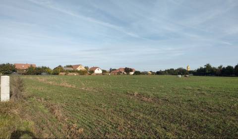 Eladó Építési telek, Építési telek, Nové Zámky, Szlovákia