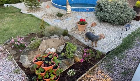 Eladó Nyaraló, Nyaraló, Šaľa, Szlovákia