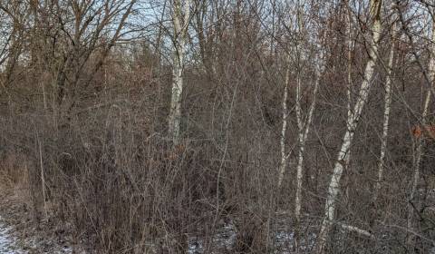 Eladó Kertek, Kertek, Košice - Šaca, Szlovákia