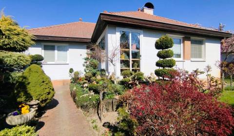 Eladó Családi ház, Családi ház, Šaľa, Szlovákia