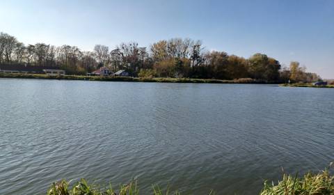 Eladó Mezőgazdasági és erdei telkek, Mezőgazdasági és erdei telkek, Ga