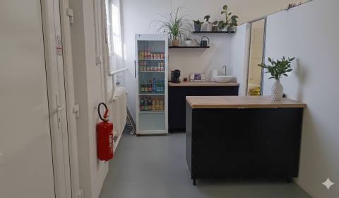 Kiadó Raktárak és ipari épületek, Raktárak és ipari épületek, Trstínsk