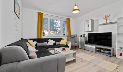 Eladó 4 szobás lakás, 4 szobás lakás, Šášovská, Bratislava - Petržalka