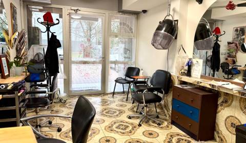 Kiadó Üzlethelység, Üzlethelység, Sputniková, Bratislava - Ružinov, Sz