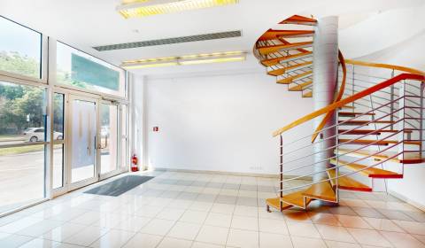 Kiadó Üzlethelység, Üzlethelység, Košická, Bratislava - Ružinov, Szlov