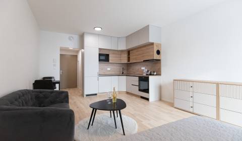 Kiadó 1 szobás lakás, 1 szobás lakás, Bottova, Bratislava - Staré Mest