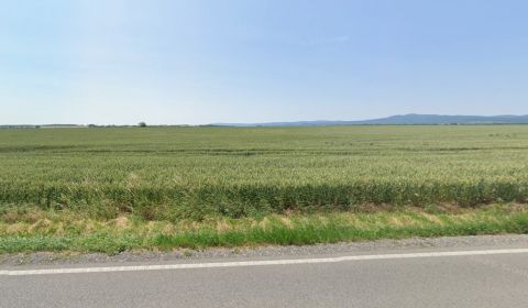 Eladó Mezőgazdasági és erdei telkek, Mezőgazdasági és erdei telkek, Pe