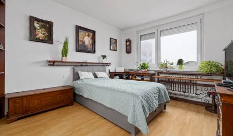 Eladó 1 szobás lakás, 1 szobás lakás, Bratislava - Petržalka, Szlováki