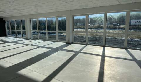 Kiadó Üzlethelység, Üzlethelység, SNP, Žilina, Szlovákia