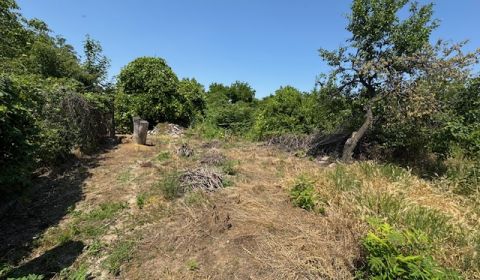 Eladó Építési telek, Építési telek, Nové Zámky, Szlovákia