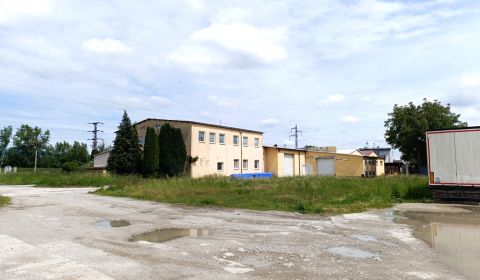 Gyártási és raktározási célú helyiségek Ilaván
