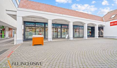 Kiadó Üzlethelység, Üzlethelység, Námestie Armina Vamberyho, Dunajská 