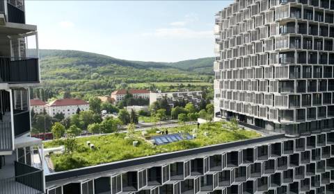 Kiadó 2 szobás lakás, 2 szobás lakás, Račianska, Bratislava - Nové Mes