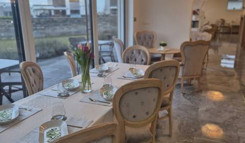 Kiadó Vendéglátóipari egység, Vendéglátóipari egység, Johna Dopyeru, T