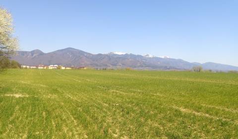 Eladó Építési telek, Építési telek, Martin, Szlovákia