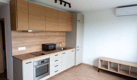 Kiadó 1 szobás lakás, 1 szobás lakás, Ivanská cesta, Bratislava - Ruži