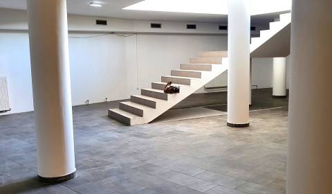 Kiadó Üzlethelység, Üzlethelység, Vajnorská, Bratislava - Nové Mesto, 