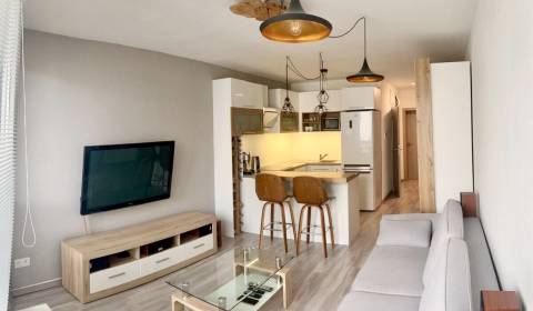 Kiadó 2 szobás lakás, 2 szobás lakás, Nobelova, Bratislava - Nové Mest