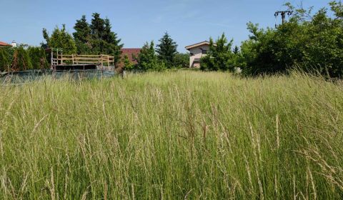 Eladó Építési telek, Építési telek, Trnavská, Senec, Szlovákia