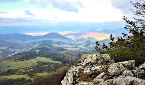 Eladó Mezőgazdasági és erdei telkek, Mezőgazdasági és erdei telkek, Il