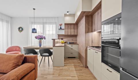 Kiadó 3 szobás lakás, 3 szobás lakás, Bottova, Bratislava - Staré Mest