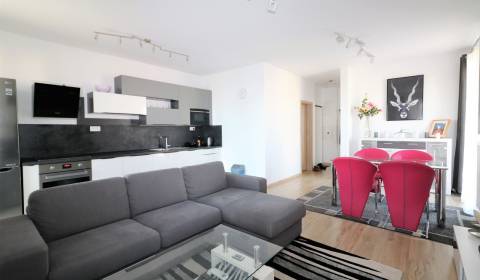 Kiadó 2 szobás lakás, 2 szobás lakás, Zuzany Chalupovej, Bratislava - 