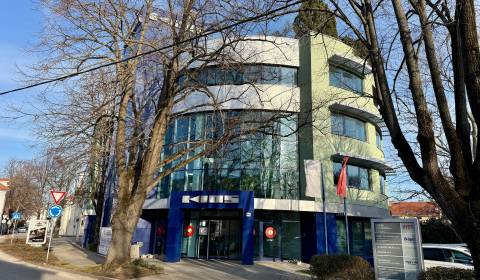 Kiadó Irodahelység, Irodahelység, Radlinského, Piešťany, Szlovákia
