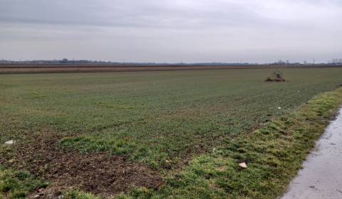 Eladó Mezőgazdasági és erdei telkek, Mezőgazdasági és erdei telkek, Ga