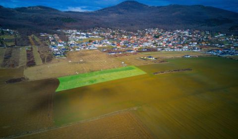 Eladó Építési telek, Építési telek, Nitra, Szlovákia