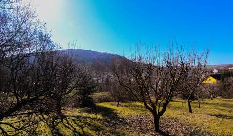 Eladó Építési telek, Építési telek, Nové Mesto nad Váhom, Szlovákia
