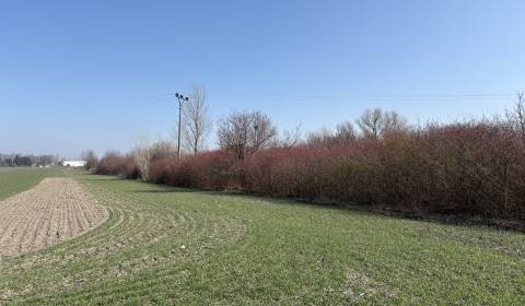 Eladó Építési telek, Építési telek, Komárno, Szlovákia