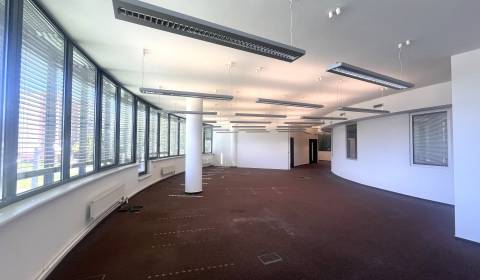 Kiadó Irodahelység, Irodahelység, Röntgenova, Bratislava - Petržalka, 