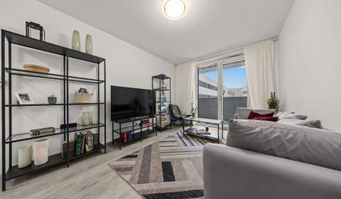 Eladó 3 szobás lakás, 3 szobás lakás, Závodu Matador, Bratislava - Pet