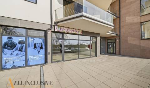 Kiadó Üzlethelység, Üzlethelység, Železničná, Dunajská Streda, Szlovák