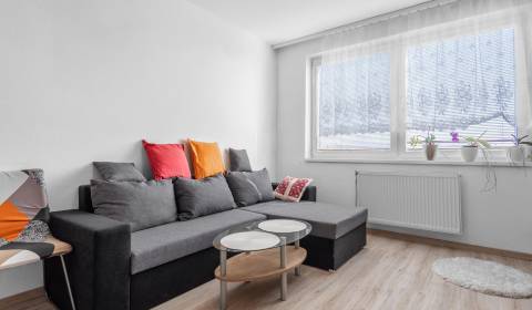 Csendes, tágas háromszobás lakás garázzsal és kerttel Vajnoryban