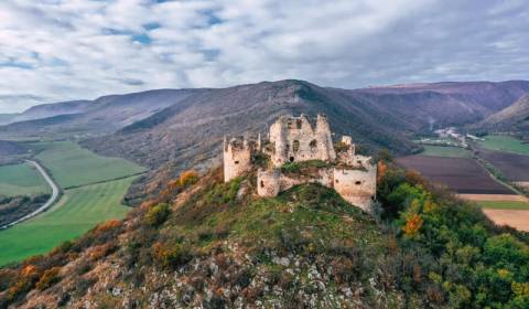 Eladó Mezőgazdasági és erdei telkek, Mezőgazdasági és erdei telkek, Ko
