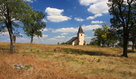 Eladó Mezőgazdasági és erdei telkek, Mezőgazdasági és erdei telkek, Ko