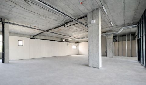 Kiadó Üzlethelység, Üzlethelység, Trnavská cesta, Bratislava - Ružinov
