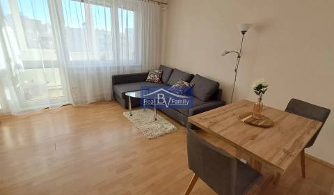 Kiadó 1 szobás lakás, 1 szobás lakás, Romanova, Bratislava - Petržalka