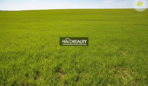 Eladó Építési telek, Nové Mesto nad Váhom, Szlovákia