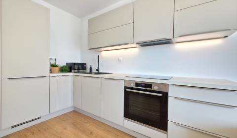 Kiadó 2 szobás lakás, 2 szobás lakás, Mlynské nivy, Bratislava - Ružin