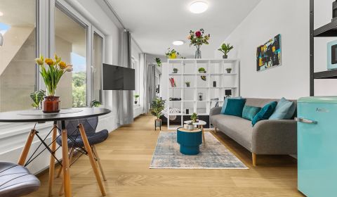 BA IV-Béreljen egy modern berendezésű 1 szobás lakást Ceresne