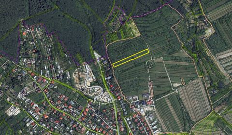 Eladó Szőlőstelkek, Szőlőstelkek, Fongová, Bratislava - Rača, Szlováki