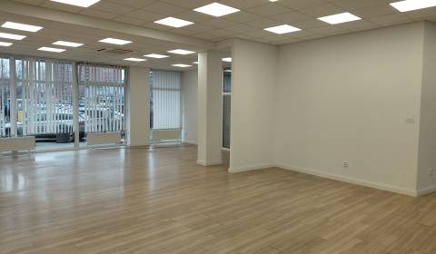 Kiadó Üzlethelység, Üzlethelység, Hálkova, Bratislava - Nové Mesto, Sz
