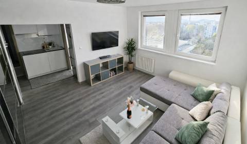 Kiadó 2 szobás lakás, 2 szobás lakás, Fedinova, Bratislava - Petržalka