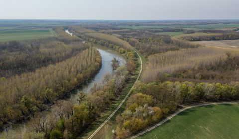 Eladó Mezőgazdasági és erdei telkek, Mezőgazdasági és erdei telkek, Ga