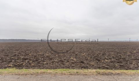 Eladó Mezőgazdasági és erdei telkek, Mezőgazdasági és erdei telkek, Do