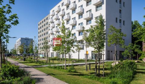 Kiadó 3 szobás lakás, 3 szobás lakás, Ivanská cesta, Bratislava II, Sz